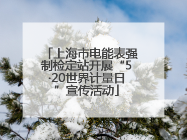 上海市电能表强制检定站开展“5·20世界计量日”宣传活动