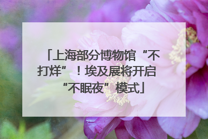 上海部分博物馆“不打烊”！埃及展将开启“不眠夜”模式