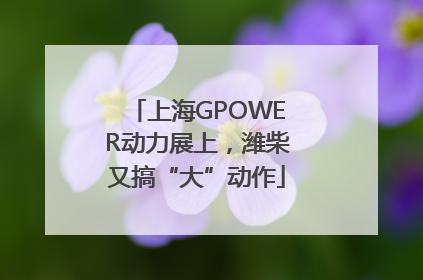 上海GPOWER动力展上，潍柴又搞“大”动作