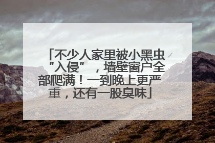 不少人家里被小黑虫“入侵”，墙壁窗户全部爬满！一到晚上更严重，还有一股臭味