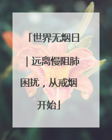 世界无烟日｜远离慢阻肺困扰，从戒烟开始