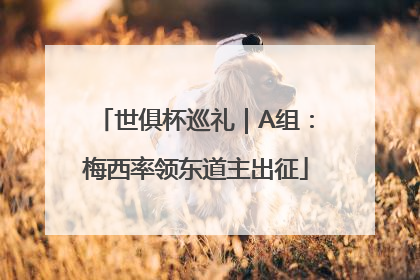 世俱杯巡礼｜A组：梅西率领东道主出征
