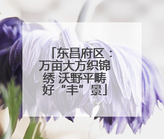 东昌府区：万亩大方织锦绣 沃野平畴好“丰”景