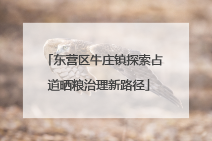 东营区牛庄镇探索占道晒粮治理新路径