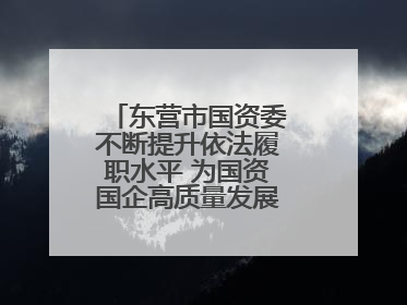 东营市国资委不断提升依法履职水平 为国资国企高质量发展提供坚实保障
