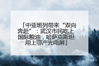 中亚班列带来“双向奔赴”：武汉市民吃上国际粮油，哈萨克斯坦用上鄂产光电屏