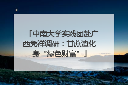 中南大学实践团赴广西凭祥调研：甘蔗渣化身“绿色财富”
