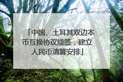 中国、土耳其双边本币互换协议续签，建立人民币清算安排