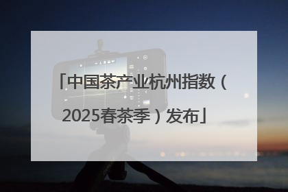 中国茶产业杭州指数（2025春茶季）发布