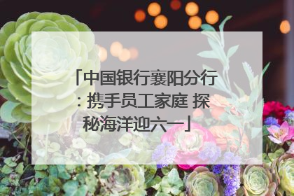 中国银行襄阳分行：携手员工家庭 探秘海洋迎六一