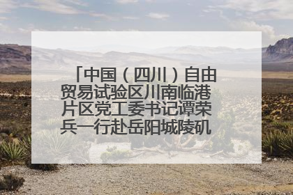 中国（四川）自由贸易试验区川南临港片区党工委书记谭荣兵一行赴岳阳城陵矶综保区考察