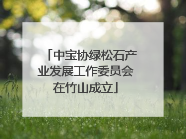 中宝协绿松石产业发展工作委员会在竹山成立