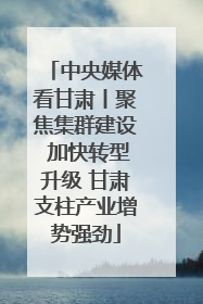 中央媒体看甘肃丨聚焦集群建设 加快转型升级 甘肃支柱产业增势强劲