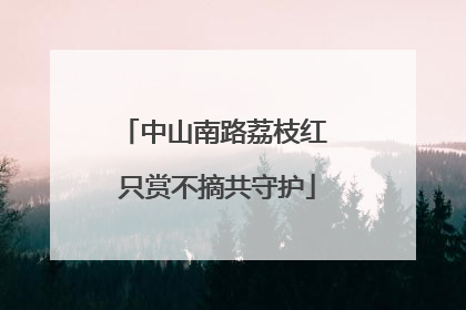 中山南路荔枝红 只赏不摘共守护