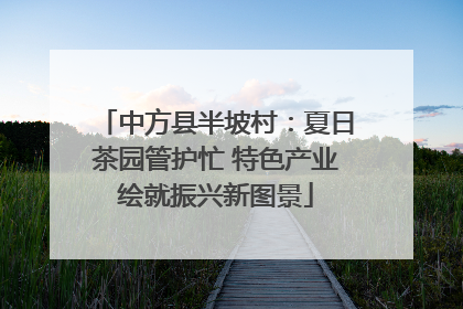 中方县半坡村：夏日茶园管护忙 特色产业绘就振兴新图景