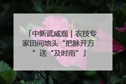 中新武威观｜农技专家田间地头“把脉开方”送“及时雨”