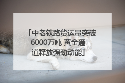 中老铁路货运量突破6000万吨 黄金通道释放强劲动能