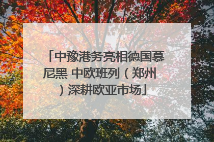中豫港务亮相德国慕尼黑 中欧班列（郑州）深耕欧亚市场