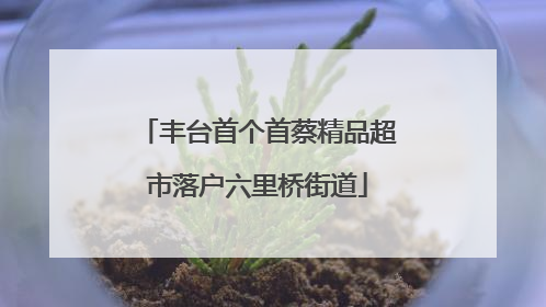 丰台首个首蔡精品超市落户六里桥街道