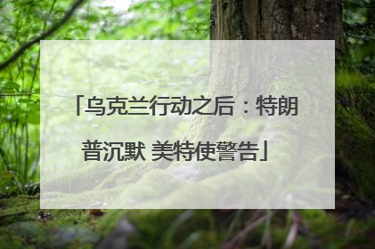 乌克兰行动之后：特朗普沉默 美特使警告