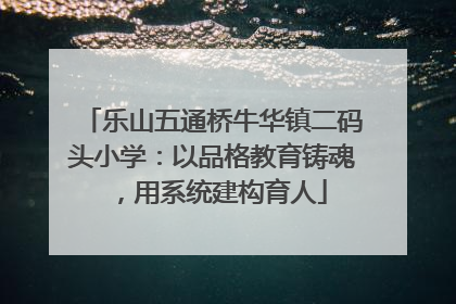 乐山五通桥牛华镇二码头小学：以品格教育铸魂，用系统建构育人