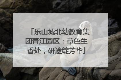乐山城北幼教育集团青江园区：草色生香处，研途绽芳华