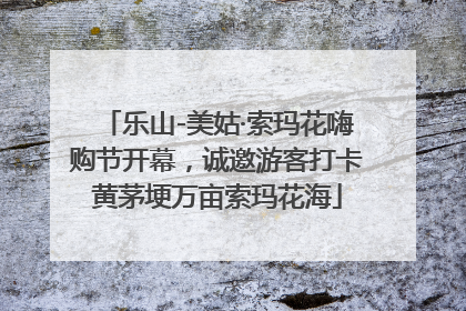 乐山-美姑·索玛花嗨购节开幕，诚邀游客打卡黄茅埂万亩索玛花海