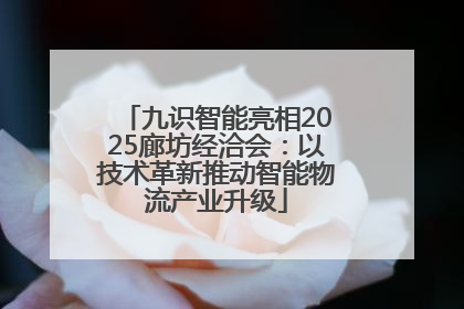 九识智能亮相2025廊坊经洽会：以技术革新推动智能物流产业升级