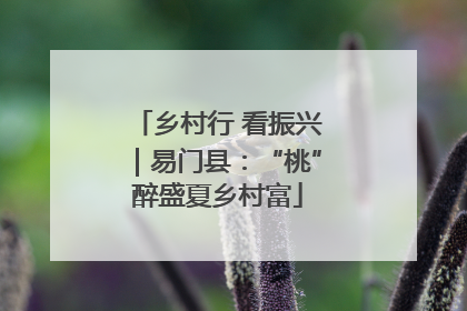 乡村行 看振兴｜易门县：“桃”醉盛夏乡村富