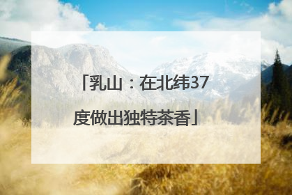 乳山：在北纬37度做出独特茶香