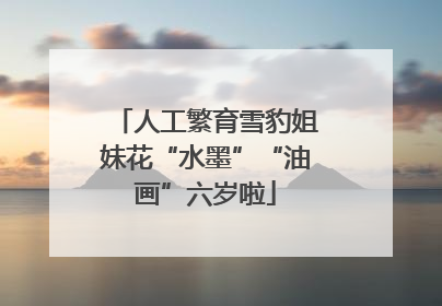 人工繁育雪豹姐妹花“水墨”“油画”六岁啦