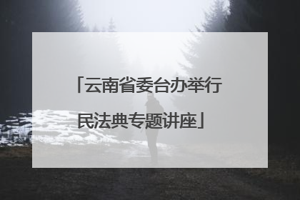 云南省委台办举行民法典专题讲座