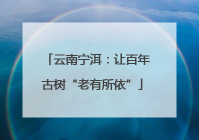 云南宁洱：让百年古树“老有所依”