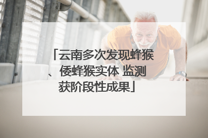 云南多次发现蜂猴、倭蜂猴实体 监测获阶段性成果