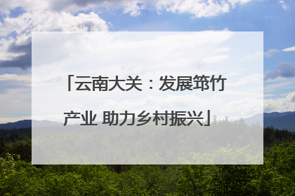 云南大关：发展筇竹产业 助力乡村振兴
