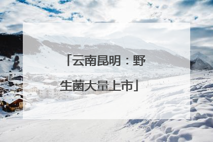 云南昆明：野生菌大量上市
