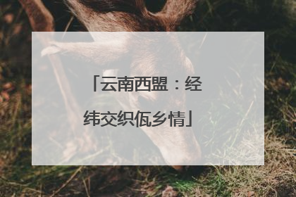 云南西盟：经纬交织佤乡情