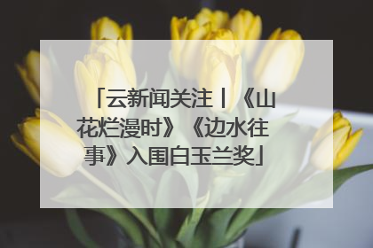 云新闻关注丨《山花烂漫时》《边水往事》入围白玉兰奖