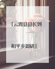 云霄县县长到和平乡调研