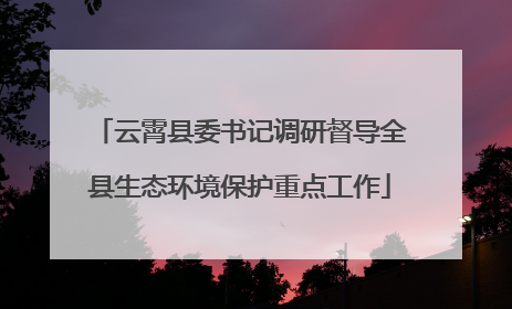 云霄县委书记调研督导全县生态环境保护重点工作