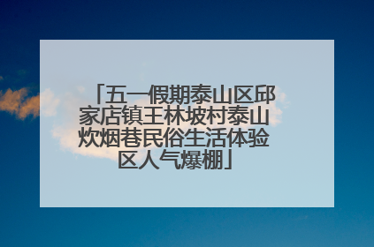 五一假期泰山区邱家店镇王林坡村泰山炊烟巷民俗生活体验区人气爆棚