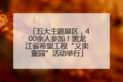 五大主题展区，400余人参加！黑龙江省希望工程“义卖童园”活动举行