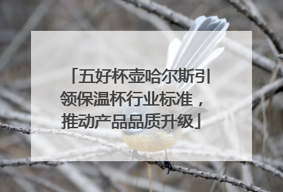 五好杯壶哈尔斯引领保温杯行业标准，推动产品品质升级