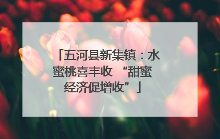 五河县新集镇：水蜜桃喜丰收 “甜蜜经济促增收”