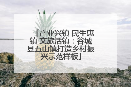产业兴镇 民生惠镇 文旅活镇：谷城县五山镇打造乡村振兴示范样板