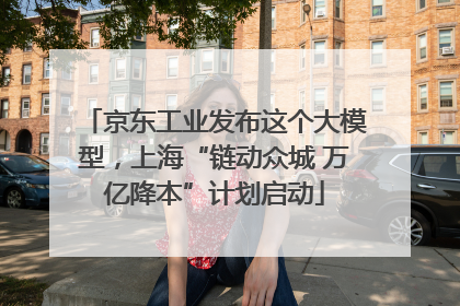 京东工业发布这个大模型，上海“链动众城 万亿降本”计划启动