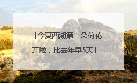 今夏西湖第一朵荷花开啦，比去年早5天