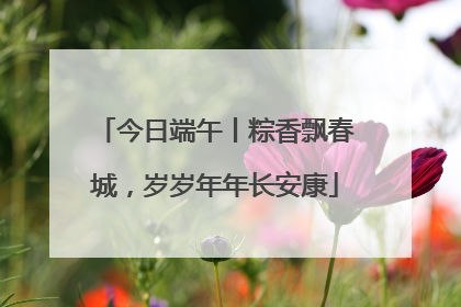 今日端午丨粽香飘春城，岁岁年年长安康