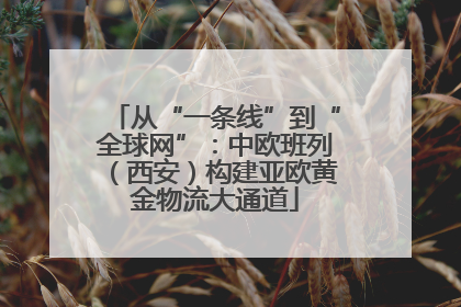 从“一条线”到“全球网”：中欧班列（西安）构建亚欧黄金物流大通道
