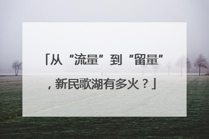 从“流量”到“留量”，新民歌湖有多火？